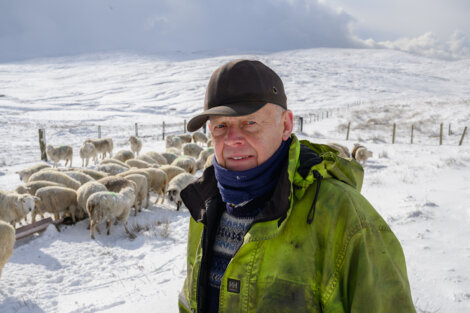 A person wearing a green jacket and black cap stands in front of a flock of sheep in a snowy, fenced pasture under a cloudy sky.