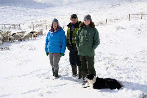 Three people and a dog stand in a snowy field with a flock of sheep in the background. They are dressed in winter clothing and the landscape is hilly and covered in snow.