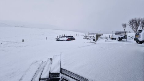 A snow-covered landscape with a partially buried car, trees, and a fence. The ground is blanketed in a thick layer of snow under an overcast sky.