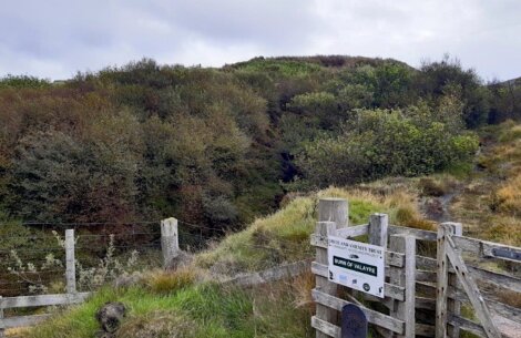 A wooden gate with a sign "Guard of Ulster" opens to a path leading into a forested area with rolling hills and cloudy sky in the background.
