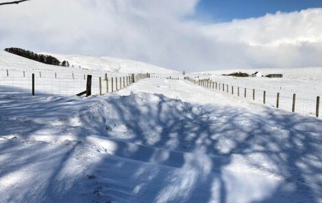 A snow-covered rural road flanked by fences extends into the distance under a partly cloudy sky, with shadows of trees cast on the snow. Snow-covered hills and a cluster of trees are visible in the background.