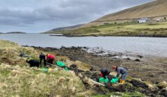 Four people in outdoor clothing clean up debris along a rocky shoreline with grassy hills and houses in the background on a cloudy day.