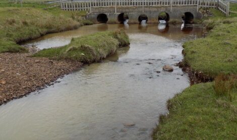 A shallow stream flows under a small bridge with several culverts. The surrounding area is grassy, with some rocks and pebbles near the water.