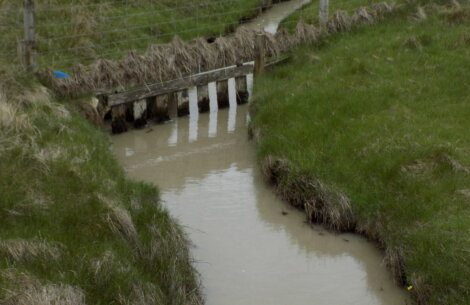 A small muddy stream flows under a short wooden bridge. Grass and dry reeds line the banks, with a wire fence running along the top.