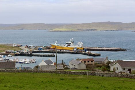 A coastal village with residential houses in the foreground, a bustling harbor with fishing boats and ships moored, and rolling hills in the background.