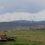 A rural landscape with houses in the foreground and numerous wind turbines spread across the rolling hills in the background under a cloudy sky.