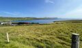 Coastal landscape with a green field, a fence in the foreground, small buildings by the shore, and clear blue sky.