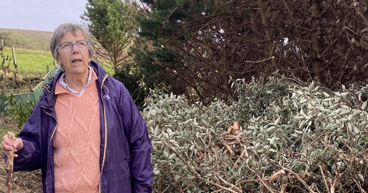 Elderly Yell resident 'distraught' after trees cut by power company - Vimarsana News
