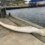 A large, curved whale bone lies on a concrete dock near a body of water, with industrial buildings and equipment visible in the background.