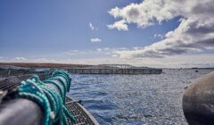 A fishing net in the water.