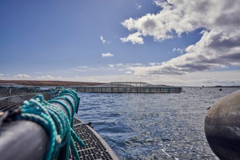 A fishing net in the water.