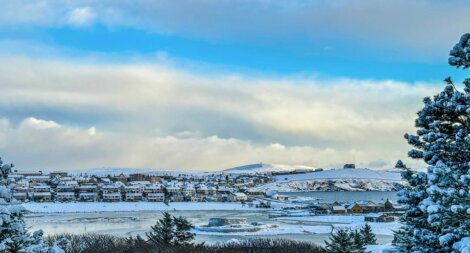 A view of a town covered in snow and trees.
