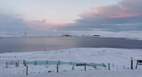 A lake covered in snow with a pink sky.
