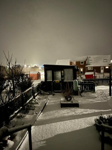 A view of a snow covered backyard at night.