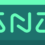 A green logo with the word snz on it.