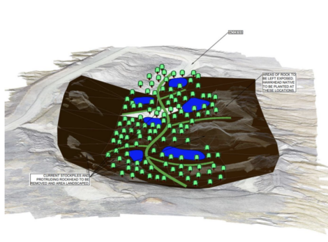 Illustration of proposed tree planting areas to enhance biodiversity and landscape.
