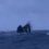Humpback whale breaching in a choppy ocean.