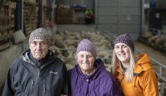 Three generations of a family—a senior man, senior woman, and younger woman—smiling in a barn with sheep in the background.