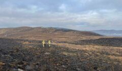 Two individuals in high-visibility jackets survey a charred landscape after a fire.