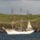 A tall ship with multiple masts and sails is anchored near a rocky shoreline with grassy hills and a few buildings in the background.