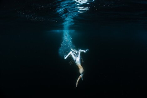 A seabird dives underwater, surrounded by bubbles and darkness, to catch a fish. The light from above highlights the scene.