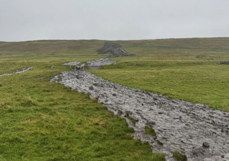 A muddy, meandering path cuts through a green grassy field on a cloudy day, with a small hill visible in the background.