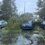 A parking lot with cars and a fallen tree lying on a blue SUV, surrounded by leaves and debris on the wet ground.