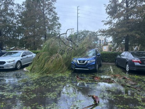 A parking lot with cars and a fallen tree lying on a blue SUV, surrounded by leaves and debris on the wet ground.