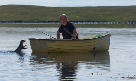 A man in a small rowboat interacts with a seal in the water. A grassy landscape is visible in the background.