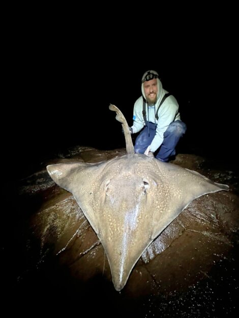 Person crouching next to a large stingray on a wet surface at night.