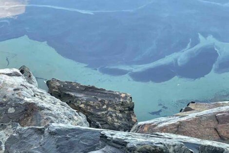 Rocks by a body of water with a blue and green gradient surface.