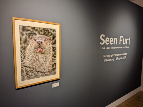Framed photo of an otter on a gallery wall with text "Seen Furt," noting an exhibit by Islesburgh Photographic Club from 8 February to 27 April 2023.