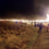 A nighttime procession with people carrying lit torches, walking along a path through a grassy area.