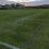 A grassy sports field with white boundary lines, set against a backdrop of houses and a cloudy sky.