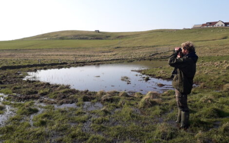 A person in green clothing and boots observes wildlife with binoculars near a small pond in a grassy, hilly landscape under a clear sky.