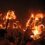 A large crowd of people holding torches aloft at night, with flames illuminating the scene against a dark background.