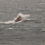 An orange lifeboat navigates choppy, rough seas with waves splashing over its bow.