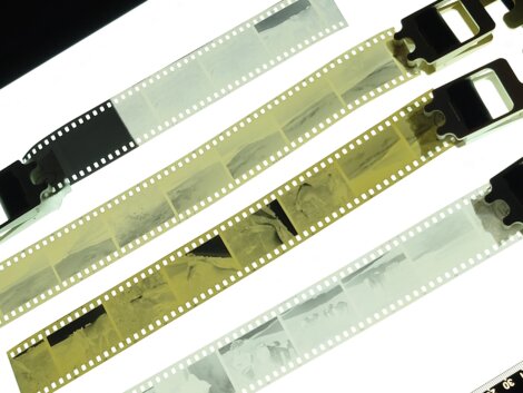 Four strips of photographic film negatives are laid out on a lightbox, showing various images in black and white.