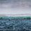 A large fish farming cage floats on rough sea water, with safety nets and buoys, under a cloudy sky near a rocky shoreline.