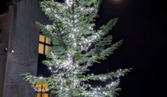 A tall outdoor evergreen tree decorated with white string lights stands near a building at night, with the moon visible in the sky.