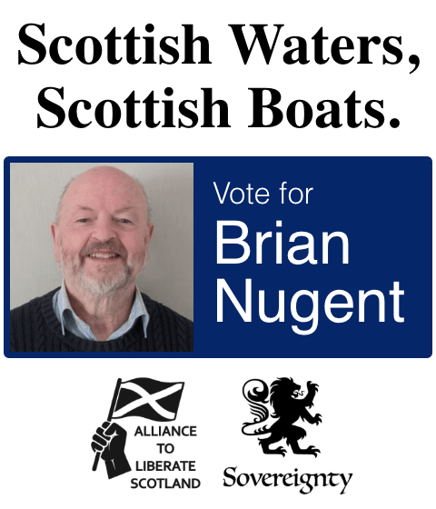 Vote for Brian Nugent