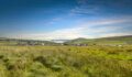Wide view across grassy green fields in the foreground toward a small settlement of low houses and a bay under a blue sky with wispy clouds.